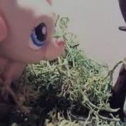 LPS MV Titanium