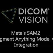 Segment Anything On Your DICOM Data With Meta S SAM2 And DICOM Vision