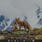 Python On A Chromebook