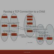 Server Multi Processes Sockets