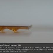 Soft And Flexible Robot Skin Actuator Using Multilayer 3D Pneumatic Network