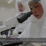Biosafety Level 3 Laboratory English
