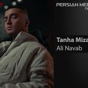 Ali Navab Tanha Mizari علی نواب تنها میزاری