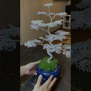 The Making Of A Wire Tree Wireartist Jewelry Wiresculpture Wirewrapping Tutorial Wirewrap