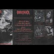 Executioner Total Fucking Slaughter Full Demo