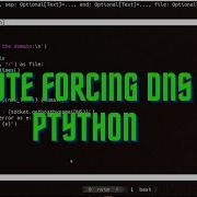 ASMR Programming DNS Bruteforcing With Python No Talking