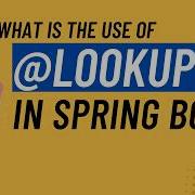 What Is The Use Of Lookup Annotation In Spring Boot Lookup Annotation In Spring Boot