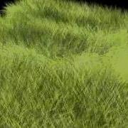 Maya Dynamic Grass Vortex Field
