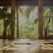 Kerala Yoga Studio Ambience Background Visualisation And Music