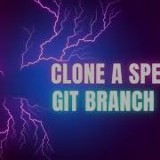 Clone A Specific Git Branch