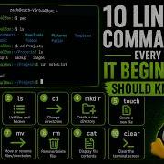 10 Linux Commands Every IT Beginner Should Know