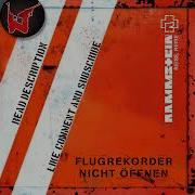 Lüger Stein Um Stein Rammstein Instrumental Cover