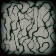 Moving Agents Using Compute Shaders In Unity