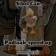 Sibel Can Padişah Speed Up