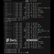 How To Copy A File In Redhat Linux Centos Ubuntu Cp Command DailystudyLinux