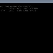 Linux W Command W3resource