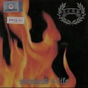A C A B SKINHEAD 4 LIFE