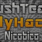 Rush Team Fly Hack Nicobico
