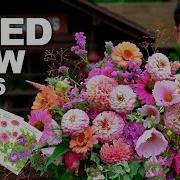 What S New In My 2026 Flower Seed Haul