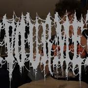 Self Disembowelment DEVOURMENT Guitar Cover