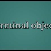 Terminal Object Meaning