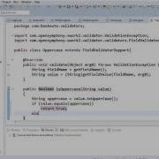 16 Writing Our Own Custom Validator