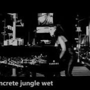 Concrete Jungle Wet Dream Tomato