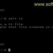 How To Sort File Numerically In BASH Shell Terminal