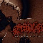 TRIBAL GAZE Beyond Recognition OFFICIAL MUSIC VIDEO