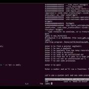 Gdb With Fork