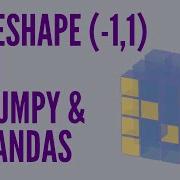 What Does Numpy Reshape 1 1 Mean