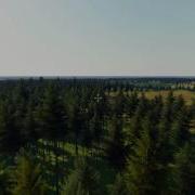 Procedural Virtual Texturing Experiments