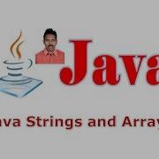 Selenium Class 12 Java Strings And Arrays