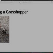 Python 101 How To Crop A Photo
