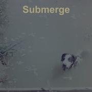 Submerge Album