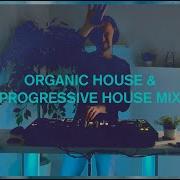 Organic House Progressive House Mix 2026