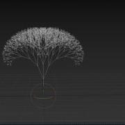 SimpleBranches1