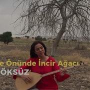 NAZLI ÖKSÜZ Hastane Önünde İncir Ağacı