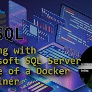 Using SQL Server Inside Of Docker