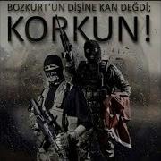 JÖH PÖH KLİP 1 ŞAHLANIŞ MARŞI TSS