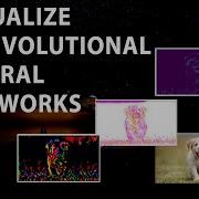 Visualize Convolutional Neural Networks CNN Using Tensorflow 2 X Deep Learning Python