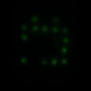 Synchronizing Fireflies