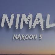 Maroon 5 Animals Lyrics