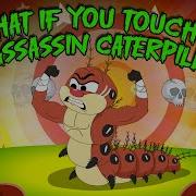 Don T Touch It What Happens If You Touch An Assassin Caterpillar Poisonous Caterpillars