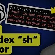 Как исправить ошибку Codex Sh не распознан в Windows
