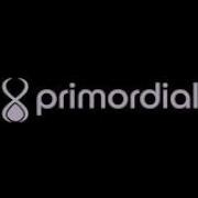 First Day With Primordial Dev V2