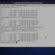 How To Copy The Files And Directories Using Cp Command