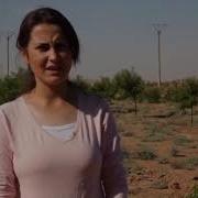 The Communes Of Rojava
