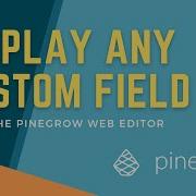 Display ANY WordPress Custom Field Using Pinegrow