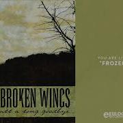 On Broken Wings Frozen Over